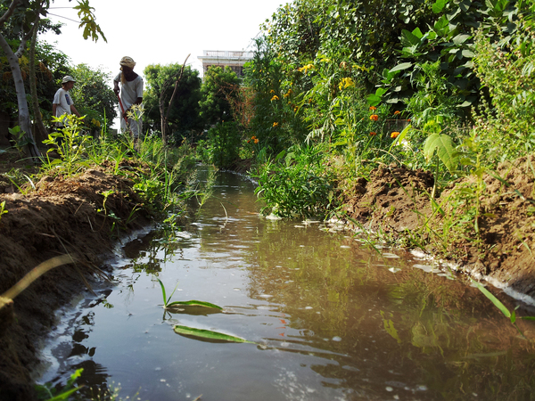 irrigating the workshop garden 600